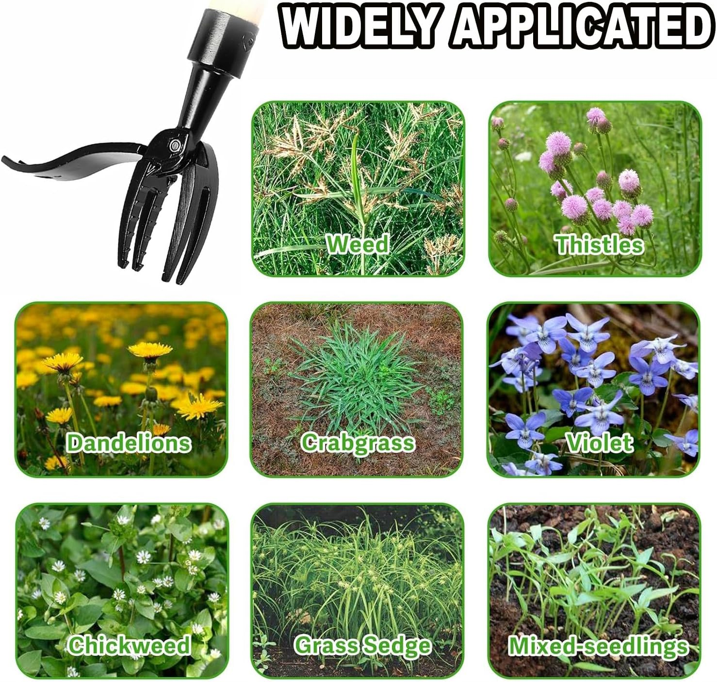 Weed Puller Tool Stand up Duty Weed Remover Tool with Long Handle Foot Platform Design-4 Claw Steel Head Weeder Tool Bamboo Garden Hand Weeding Tool Smoothly Remove Weeds without Kneeling image number 6