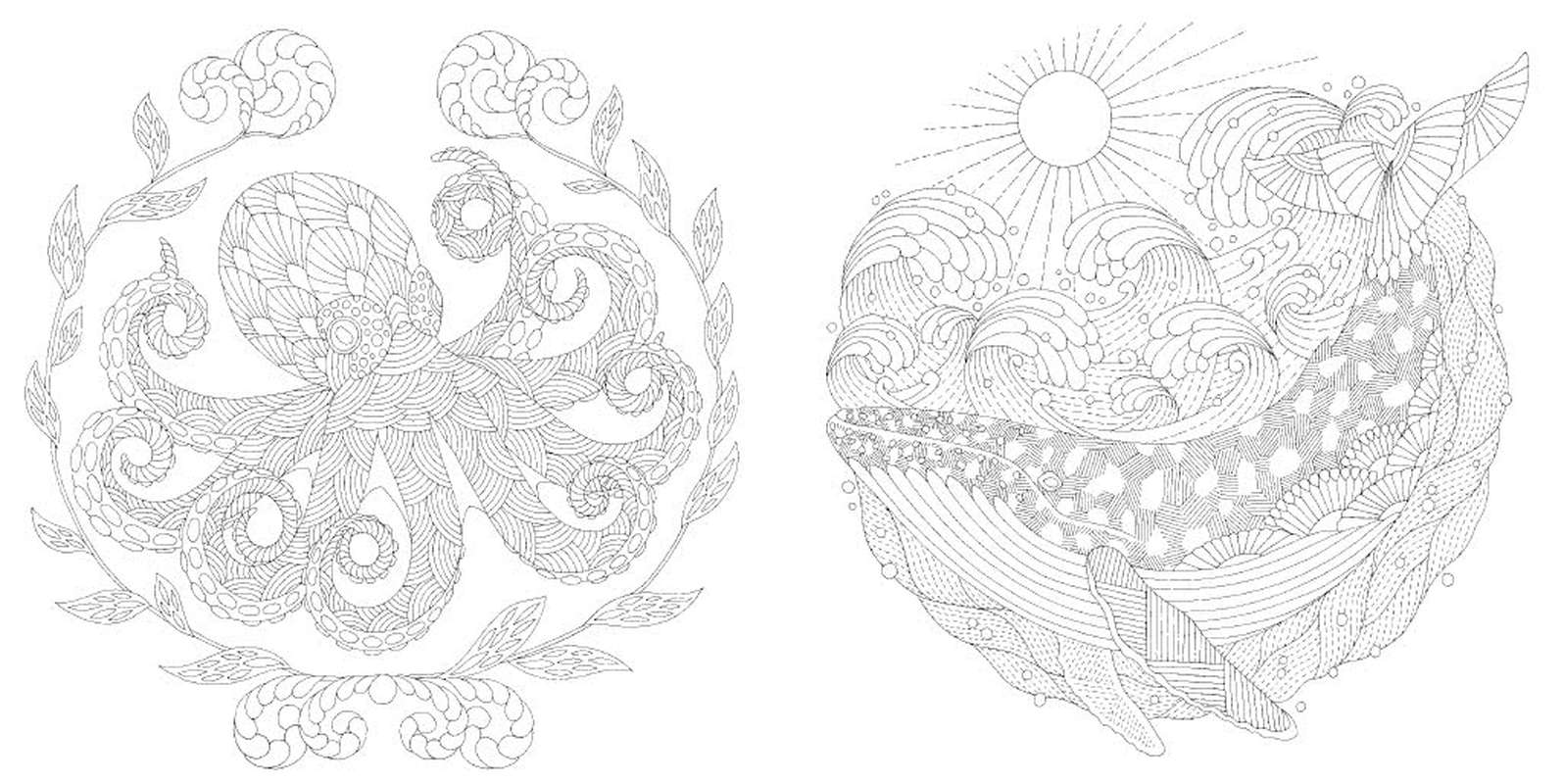 Millie Marotta'S Secrets of the Sea Pocket Colouring image number 3