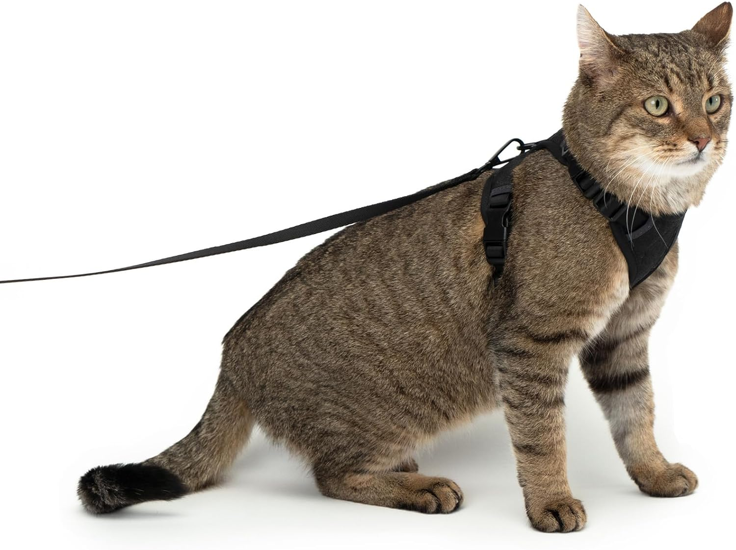 Lucybalu&reg; Explorer Cat Harness with Lead, Escape Proof, Airtag Compartment, Lightweight and Comfortable, Black, XS/S image number 6