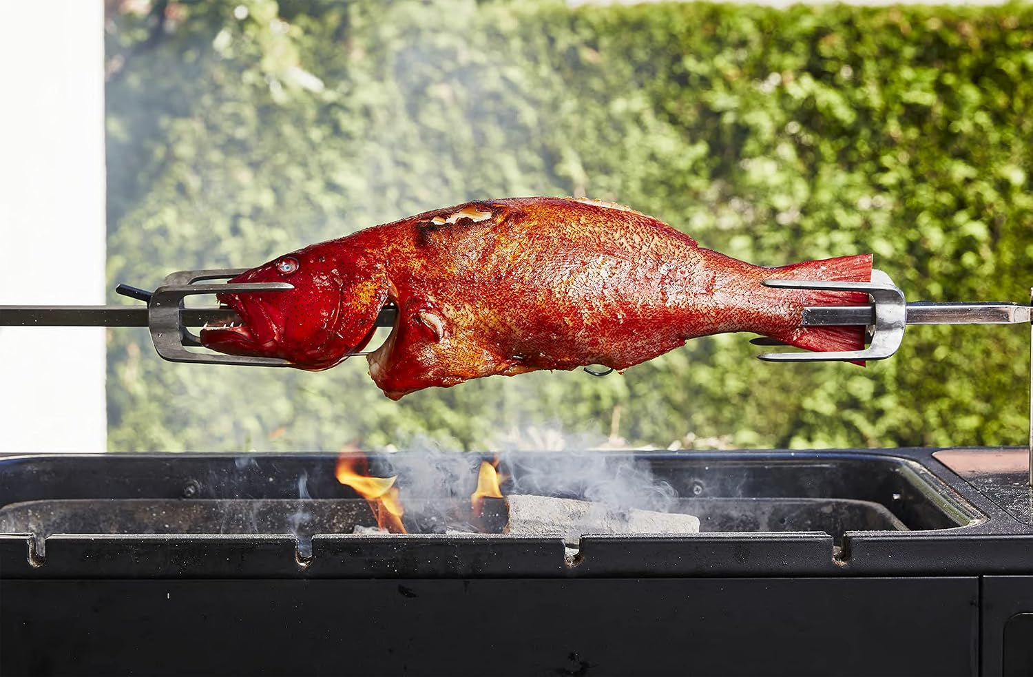 Take One Fish: the New School of Scale-To-Tail Cooking and Eating image number 5