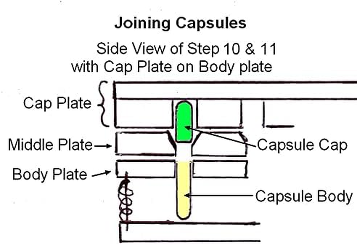 Capsule Machine Size 4 (Very Small) - Perspex 100 Holes Empty Capsules Filler with Tamper image number 2
