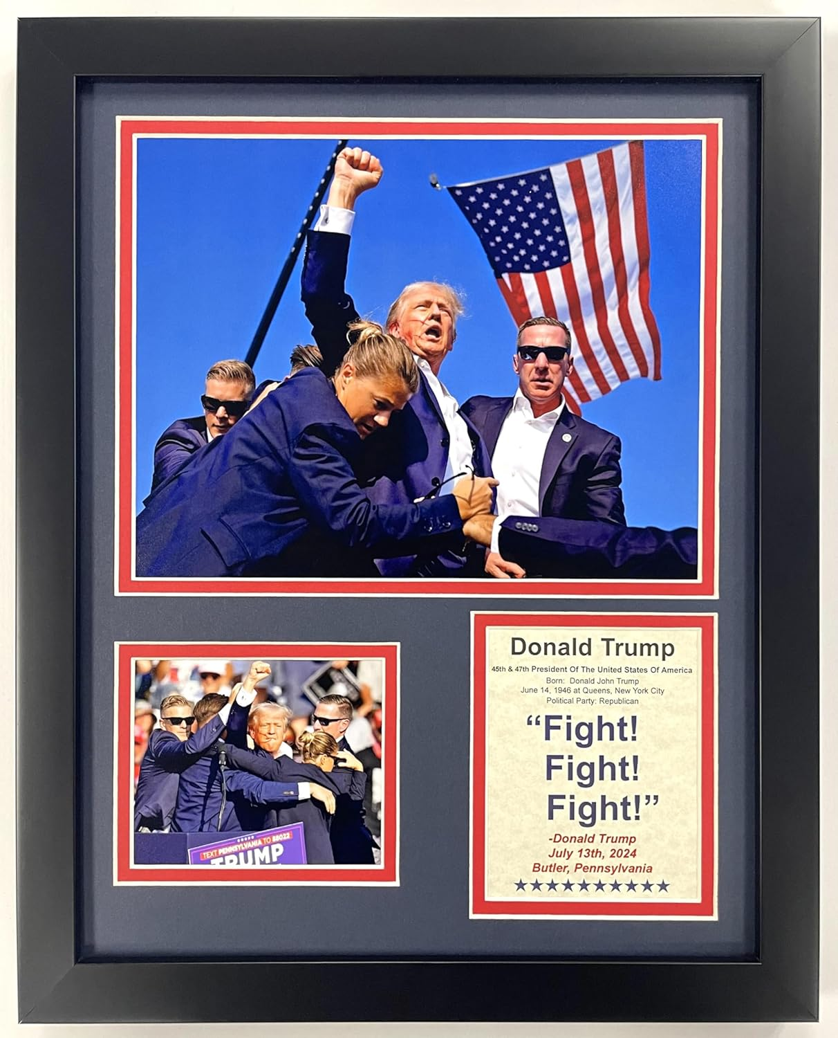 Donald Trump | America'S 45Th and 47Th President | Framed 12"X15" Double Matted Photos (Rally) image number 1
