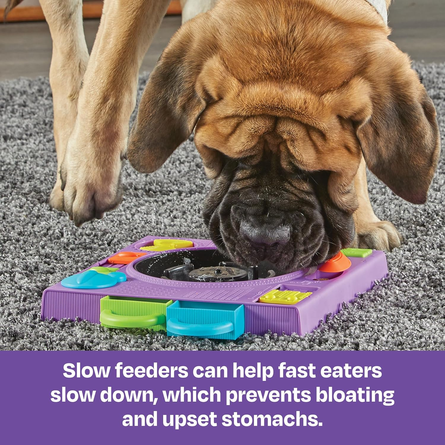 Brightkins LER9383 Dog Toy, Treats Mikke! DJ Puzzle, for All Breeds, Nosework, Snacks, Authentic image number 1