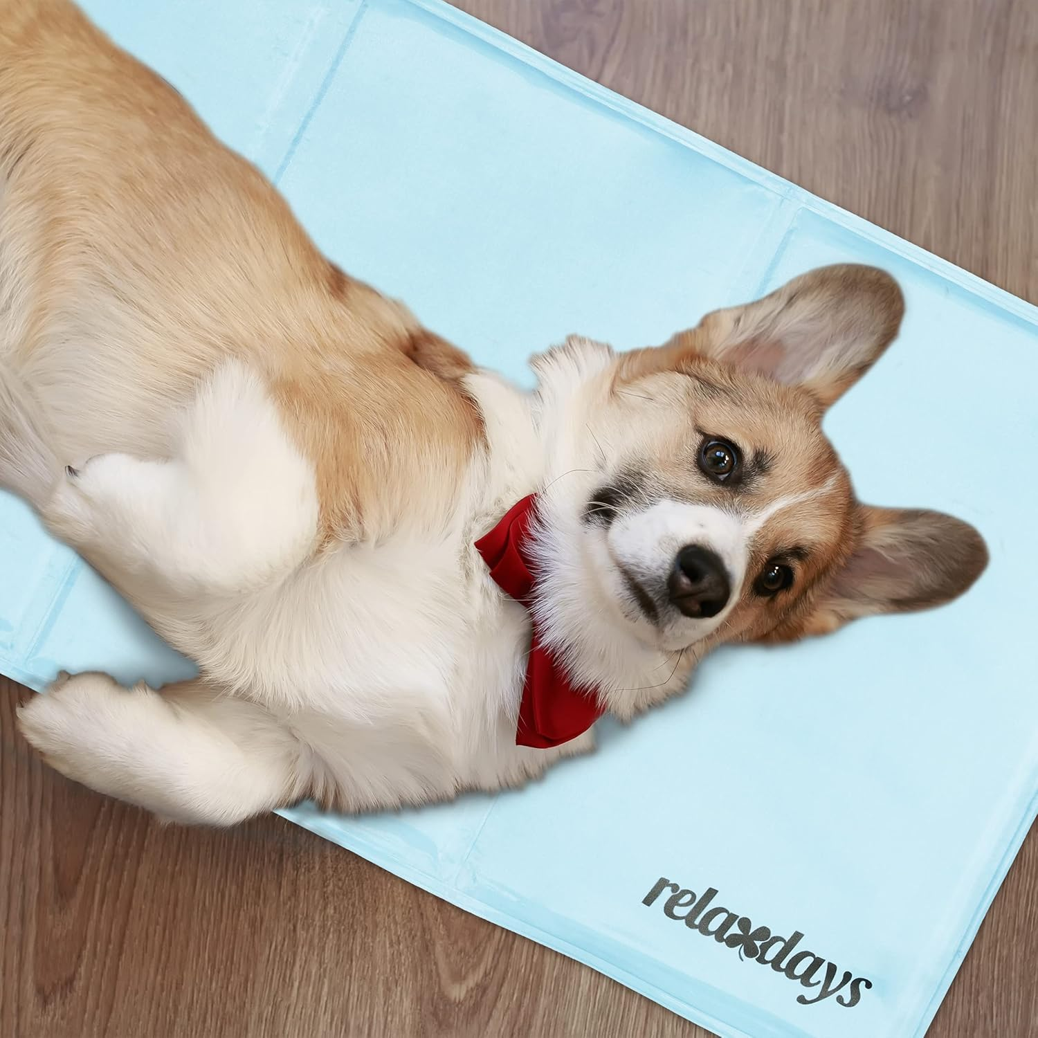 Relaxdays Self-Cooling Dog Mat, 50 X 90 Cm, Wipeable, Gel Pad, Cooling for Animals, Light Blue image number 4