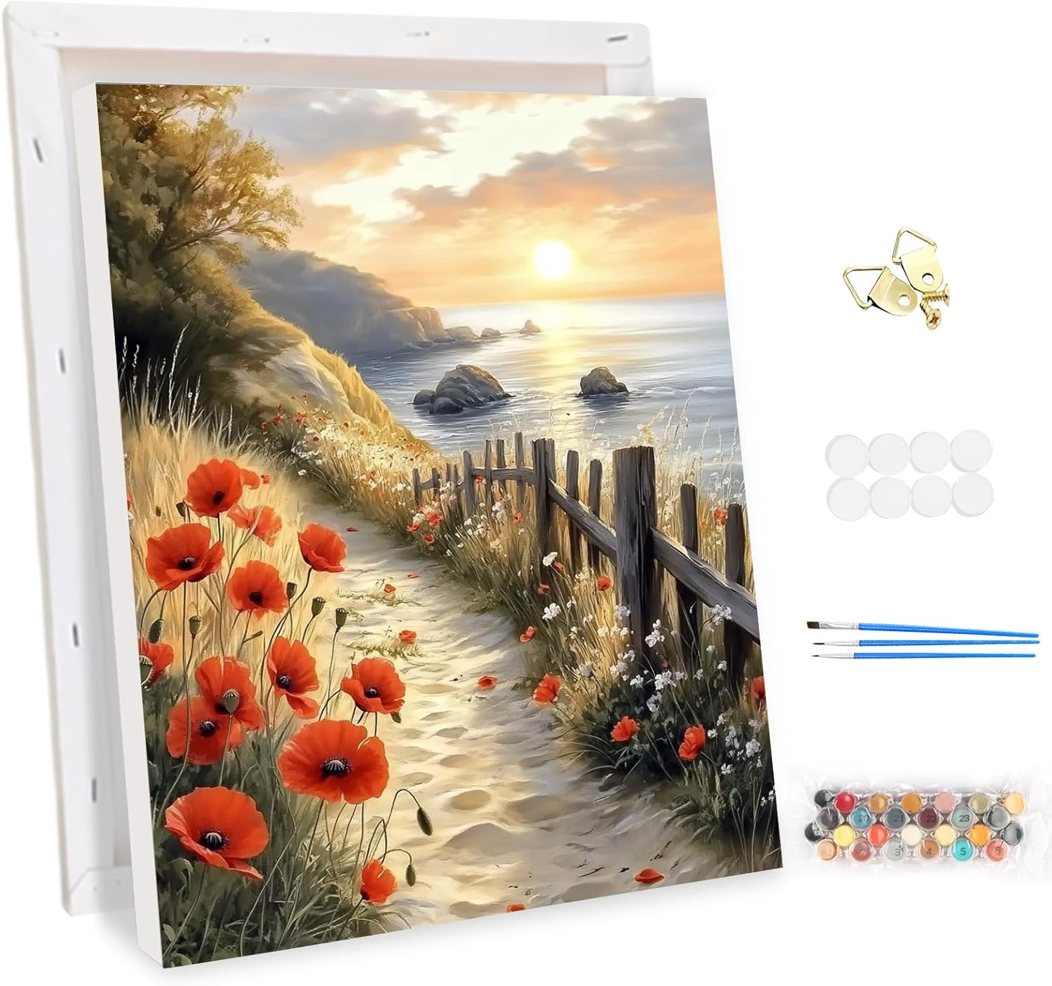 MEIYUDA Painting by Numbers Adults with Frame, DIY Set Adult Women Craft Set, 3 Brushes and Acrylic Paint, DIY Hand Painted Oil Painting Kit as a Gift and Home Decoration 30 X 40 Cm