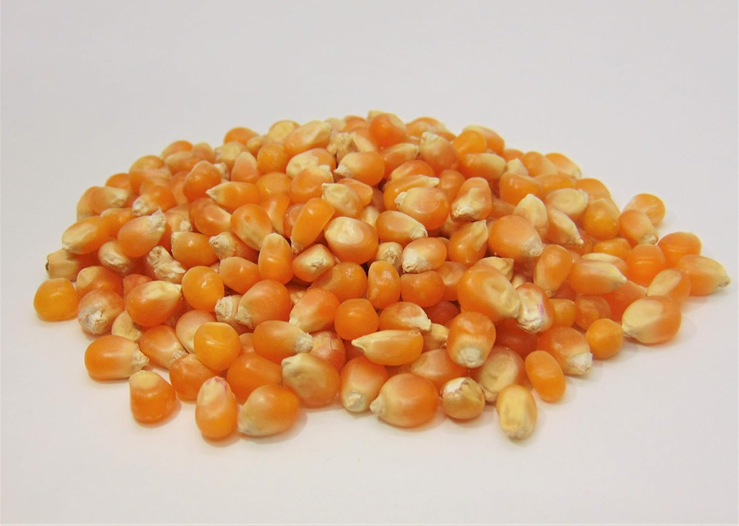2 Lbs Yellow Popcorn Seed - Un Popped Kernels for Popping - Large Butterfly Popcorn- Versatile Product, Makes for a Delicious Snack or Family Fun Crafts! Works with Most Poppers. Country Creek LLC