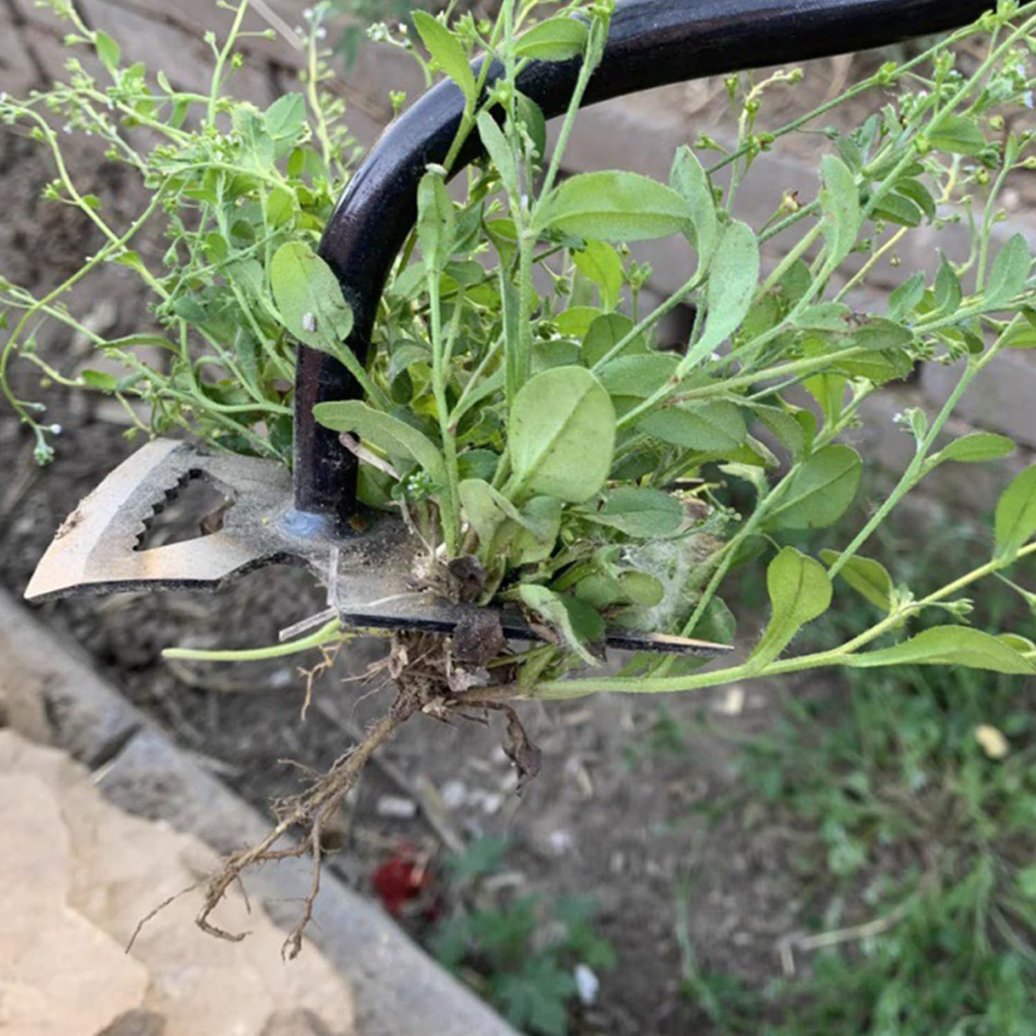 Rdlobu 2 X Gardening Hand Weed Cutters, Garden Weed Tool, Weed Remover Device with Silicone Handle, Weeder Hand for Grass Digging, Transplanting, Weeding (6 Teeth) image number 4