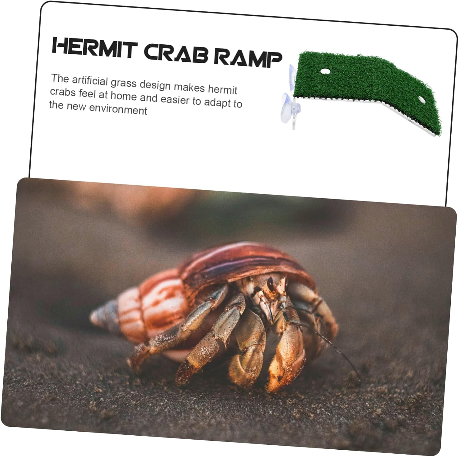 CORHAD Reptile Basking Platform for Aquatic Turtles Crab Climbing Ramp Simulation Grass Accessory for Fish Tanks Small Size for Aquariums and Terrariums image number 3