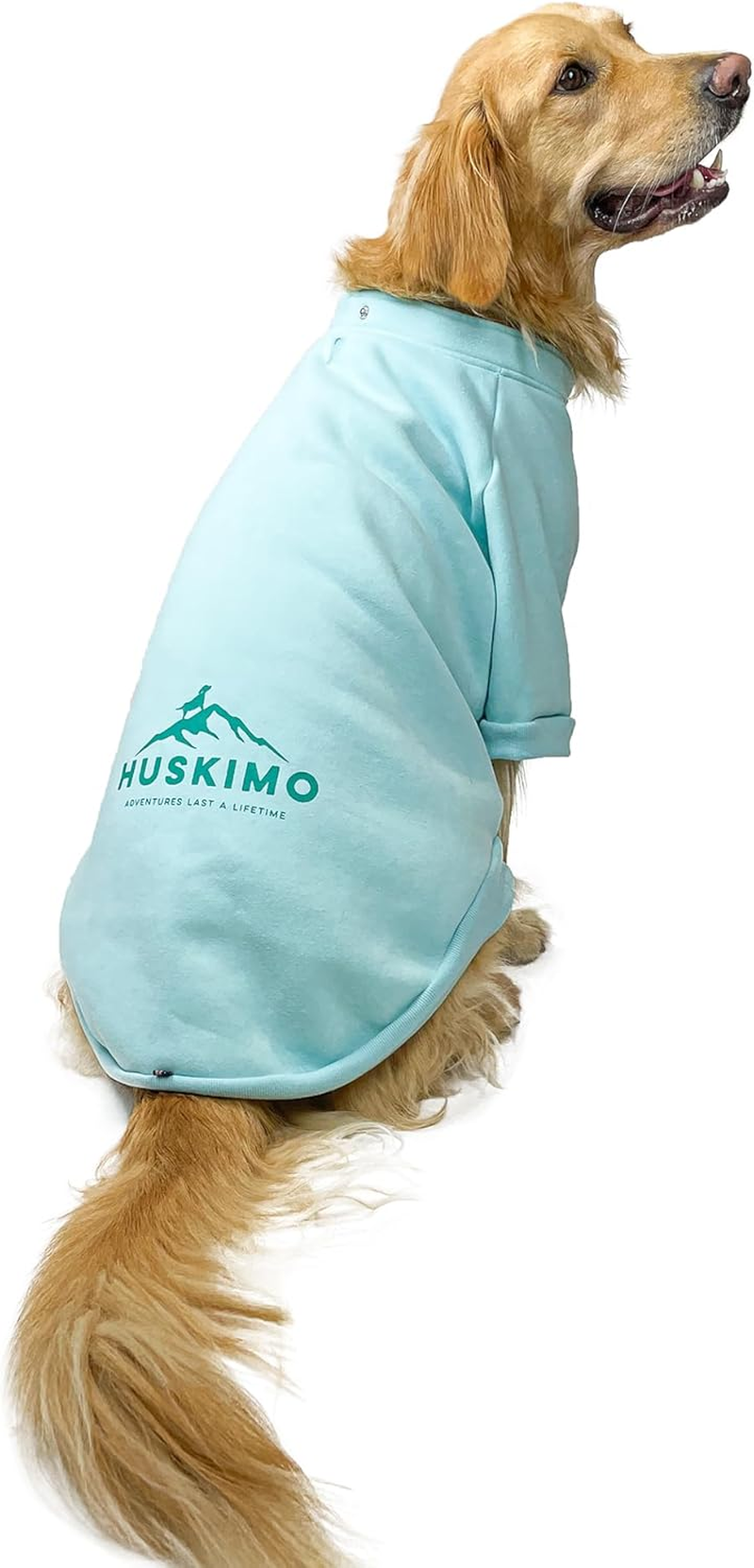 Huskimo Hartz Peak Dog Hoodie, Lagoon, 27Cm image number 1