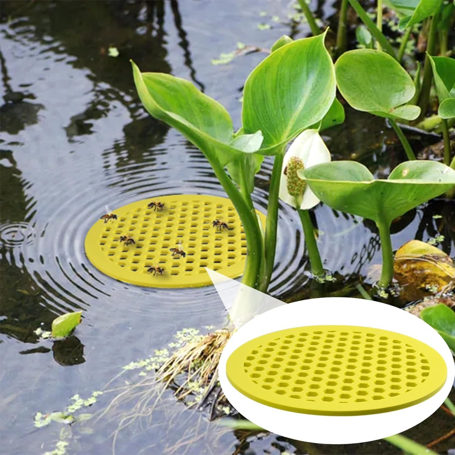 Floating Bee Island Butterfly Feeder Drinker, 4Pcs EVA Foam Bee Feeder and Butterfly Drinking Station, EVA Foam Floating Bee Waterer Butterfly Watering Station, round Shaped image number 6