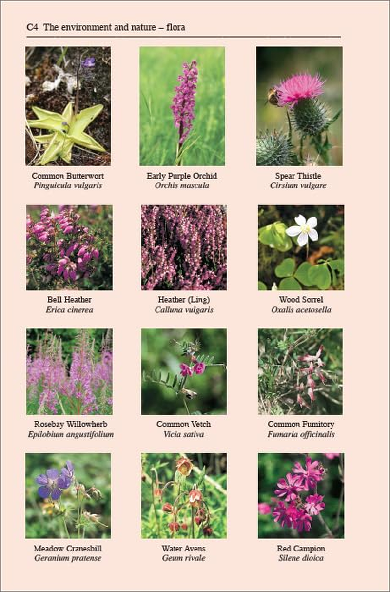 West Highland Way 8/E: 53 Large-Scale Maps & Guides to 26 Towns and Villages; Planning, Places: Includes Ben Nevis Guide and Glasgow City Guide image number 5