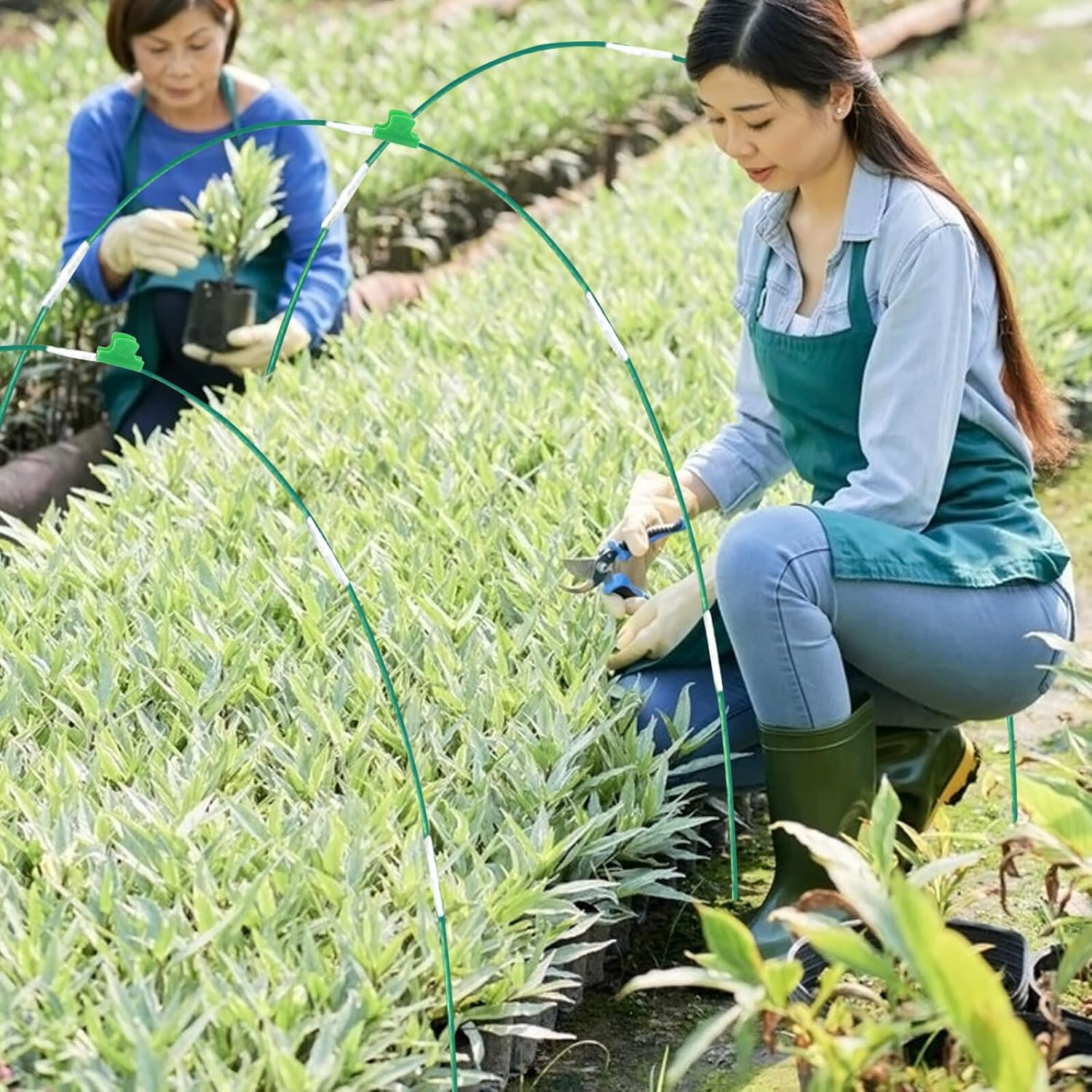 Gadpiparty Plastic-Coated Fiberglass Garden Hoops Kit Row Cover Netting for Bird and Insect Protection Easy-Install Garden Supplies for Fruit Vegetable Flower Beds and Greenhouse Grow Tunnel image number 6