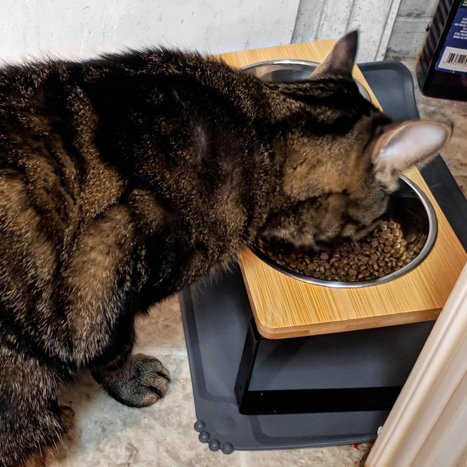 Elevated Cat Bowls Whisker Friendly,Cat Food Bowls with Silicone Food Mat,15&deg;Tilted Stand anti Vomiting Raised Cat Dishes for Food and Water,2 Stainless Steel Bowls for Cats and Puppy image number 5