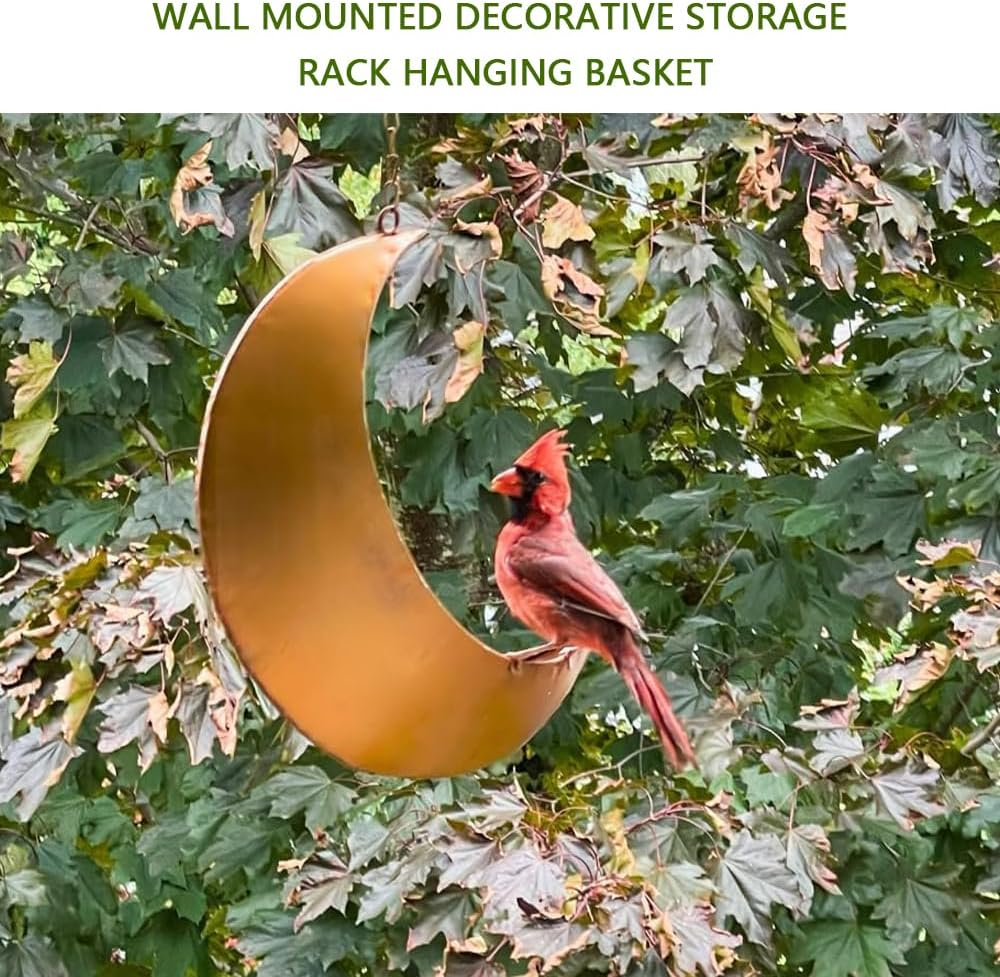 Hanging Crescent Moon Planter & Bird Feeder &ndash; Metal Hanging Decor with Drain Holes, Rust-Resistant Antique Gold Finish &ndash; Unique Moon Decor for Succulents, Air Plants, or Birdwatching