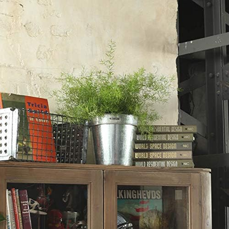 Dulton Garden Supplies Galvanized Pot Cover Height 8.7 Inches (220 Mm) Top Diameter 8.7 Inches (220 Mm) Galvanized Pot Cover K865-1095-22 image number 1