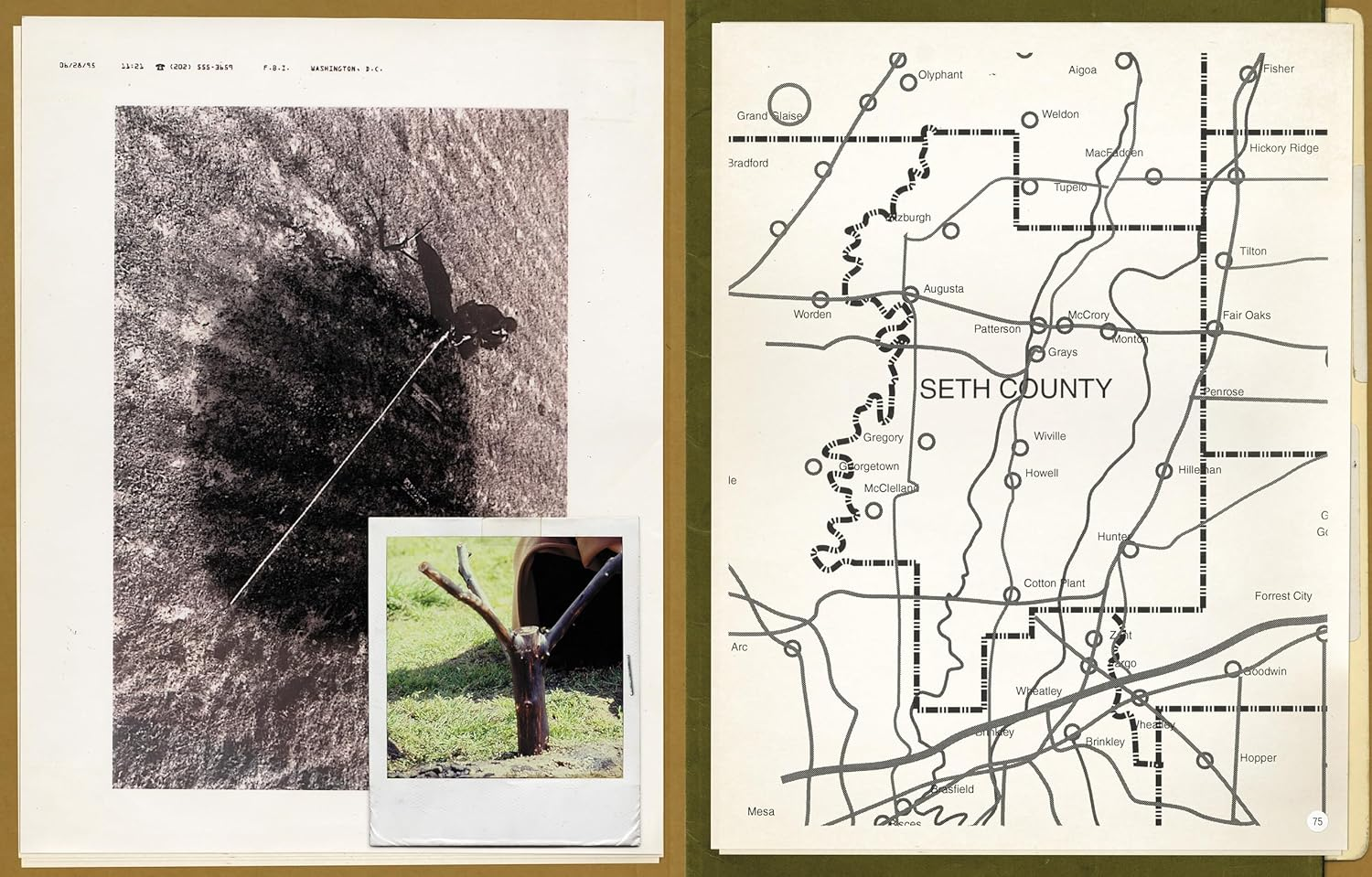 The X-Files: the Official Archives:Cryptids, Biological Anomalies, and Parapsychic Phenomena image number 5