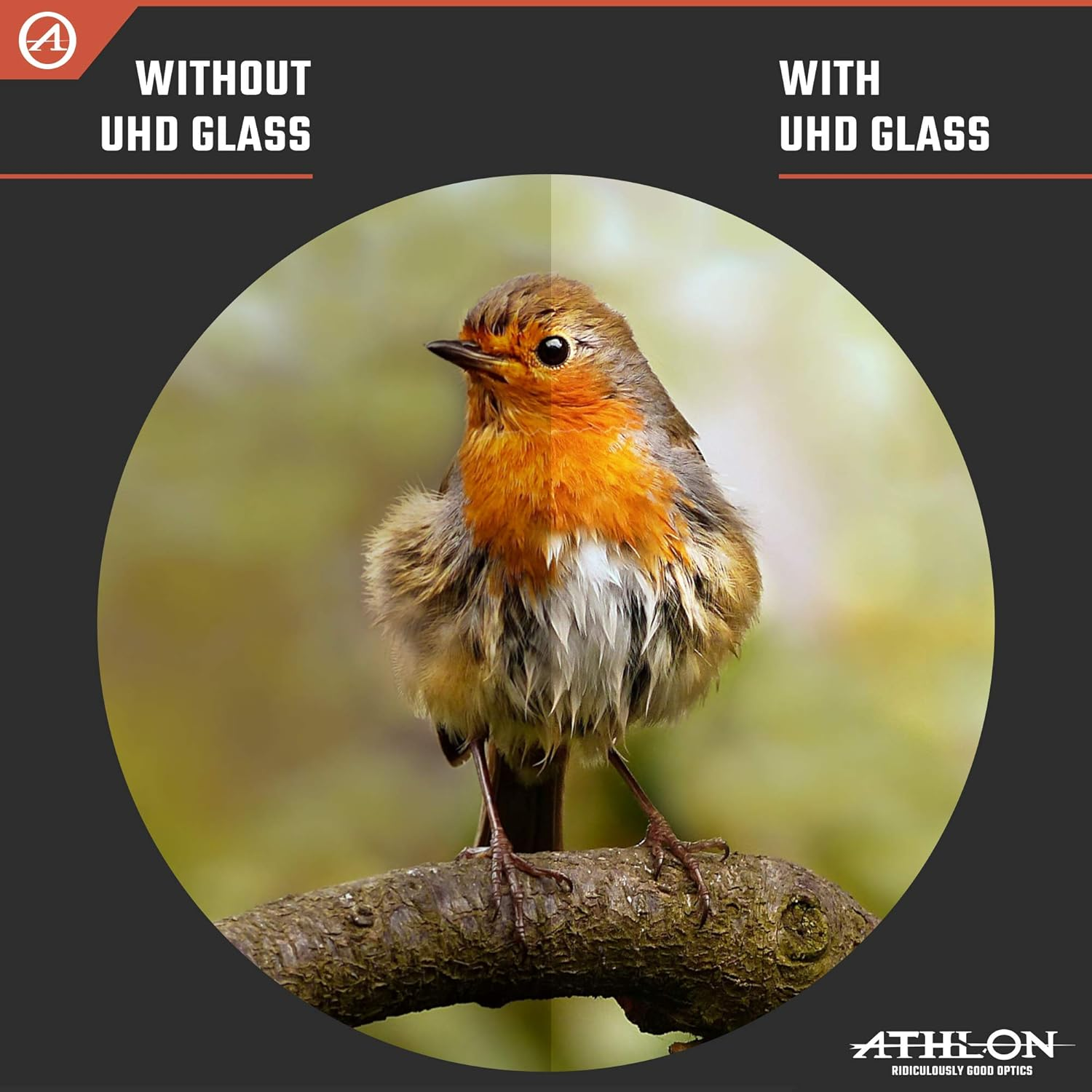 Athlon Optics, Midas, Binocular, image number 3