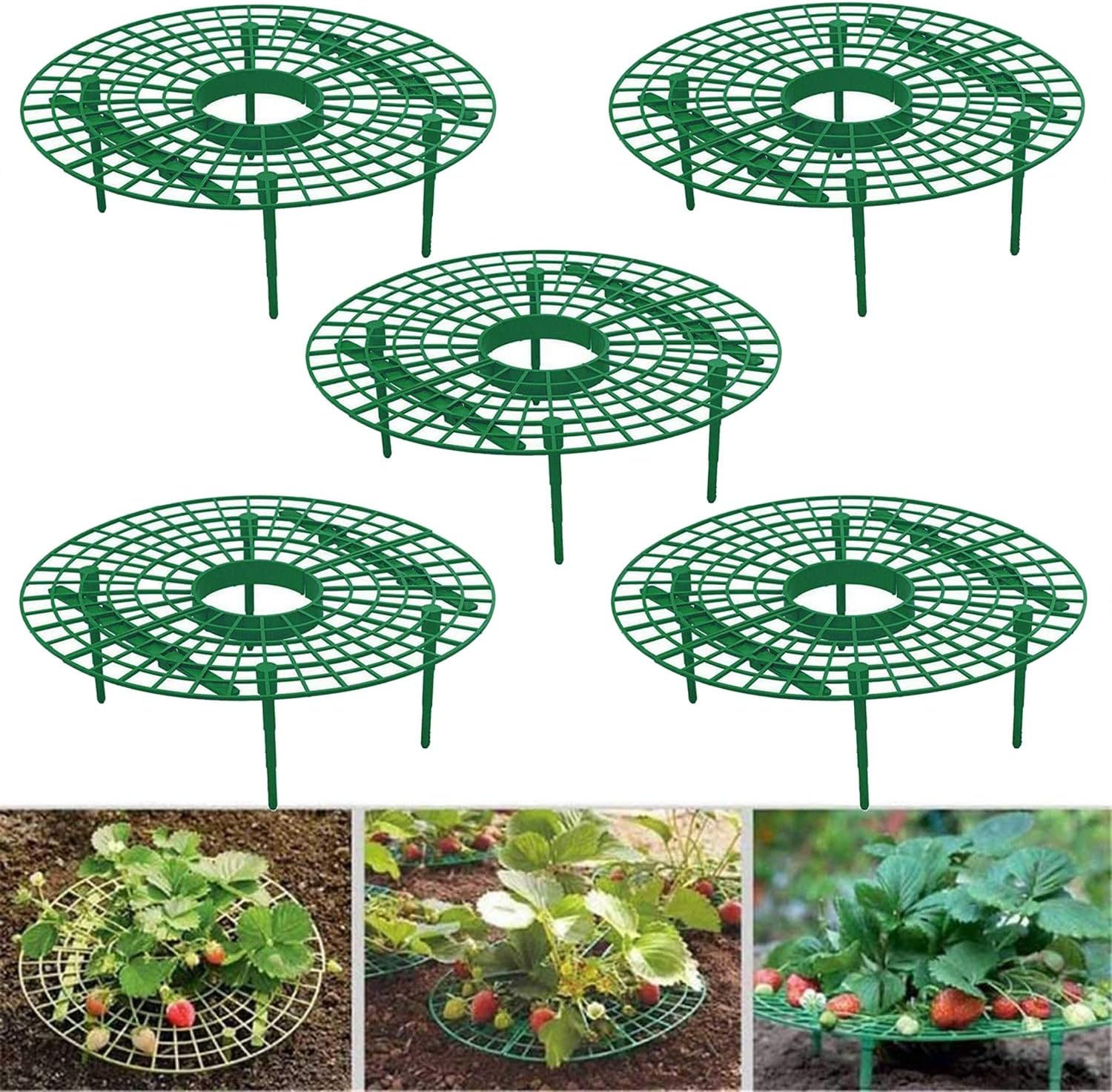 Medoore 5 Pack Strawberry Supports, Adjustable Strawberry Growing Racks Plant Climbing Rack Vine Pillar Garden Stand Balcony Vegetable Rack for Keeping Fruit Elevated to Avoid Ground Rot image number 6