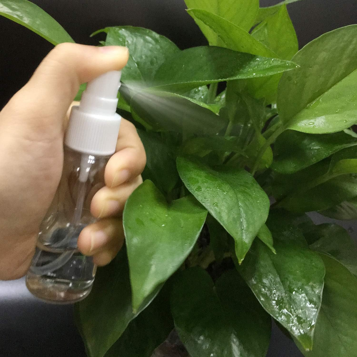 4Pcs, 100Ml Spray Bottle Empty Plastic Fine Mist Travel Atomiser Set with 2 Funnels & 12 Labels - Clear Refillable & Reusable Bottle Toiletries Liquid Containers for Cosmetic Make-Up by Jamhoodirect, Transparent, Mini Size image number 5