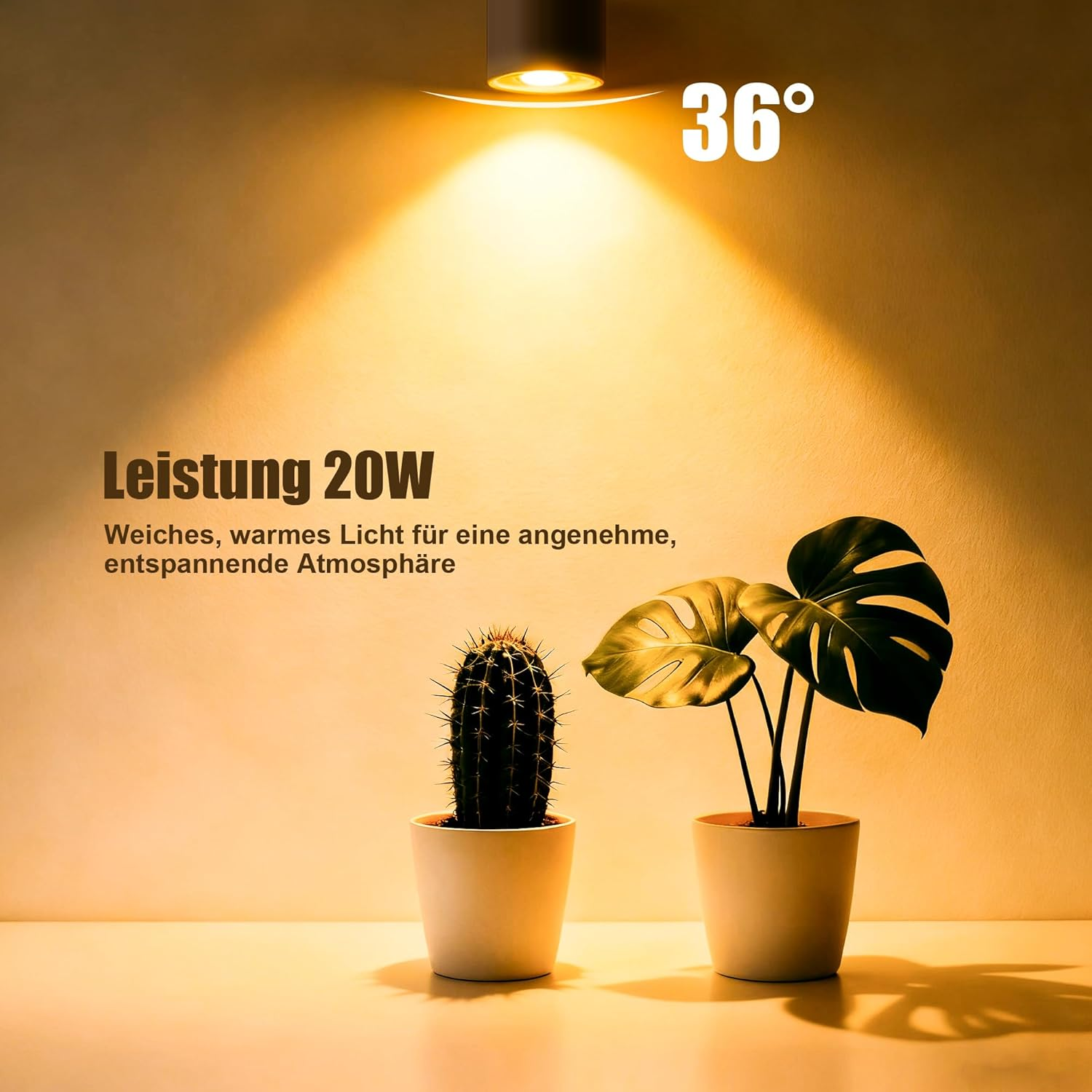 Elalove Halogen Bulbs MR16 GU5.3 12V 20W Pack of 6 High Brightness Long Life Energy Saving High Temperature Halogen Lamp Compatible with Various Scenarios Warm and Cool White image number 5