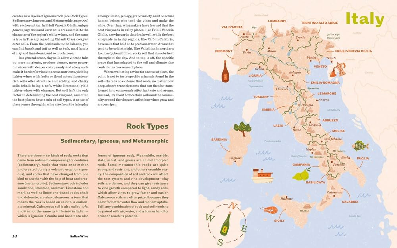 Italian Wine: the History, Regions, and Grapes of an Iconic Wine Country image number 3