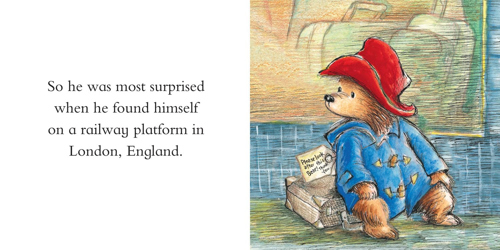 Paddington Little Library image number 2
