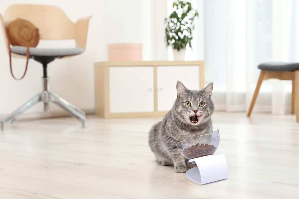 Maxxpro Cat Feeding Bowl Raised Non-Slip Feet Cat Accessories Cat Bowl 350 Ml 13.5 X 12.5 X 14.5 Cm White image number 1