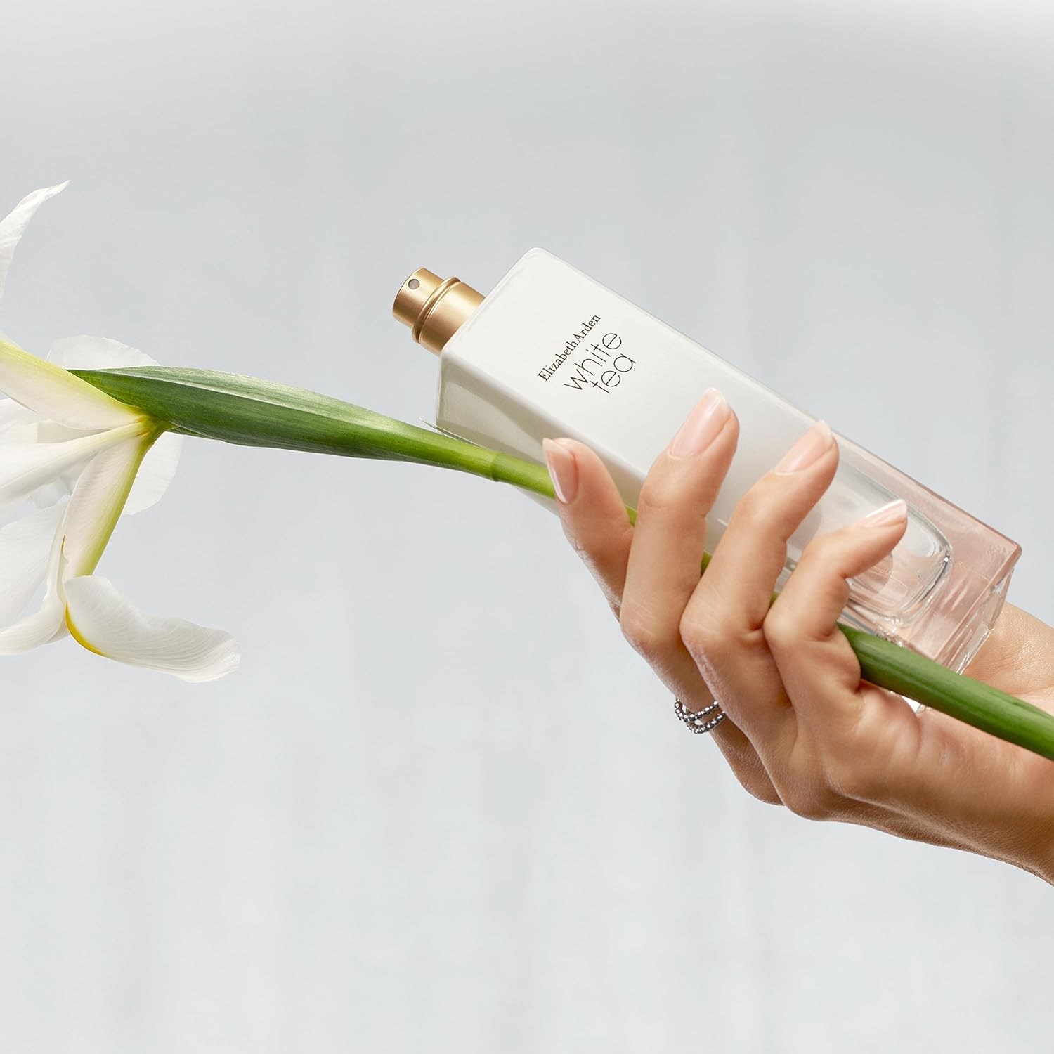 White Tea by Elizabeth Arden for Women - 2 Pc Gift Set 3.3Oz EDT Spray, 13.5Oz Body Cream image number 3