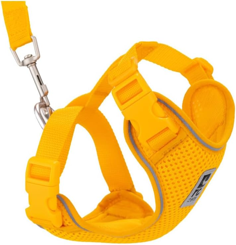 RC Pets Adventure Kitty Cat Harness | Adjustable Airmesh Vest with D-Ring and 6Ft Leash for Walking and Travel | Marigold, Medium image number 1