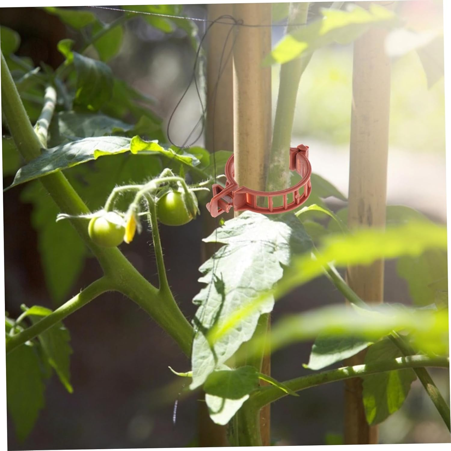 HAKIDZEL 100Pcs Plastic Plant Clip Gardening Clamps Grafting Plant Clip for Garden Supplies Use as Stake for Indoor Outdoor image number 3