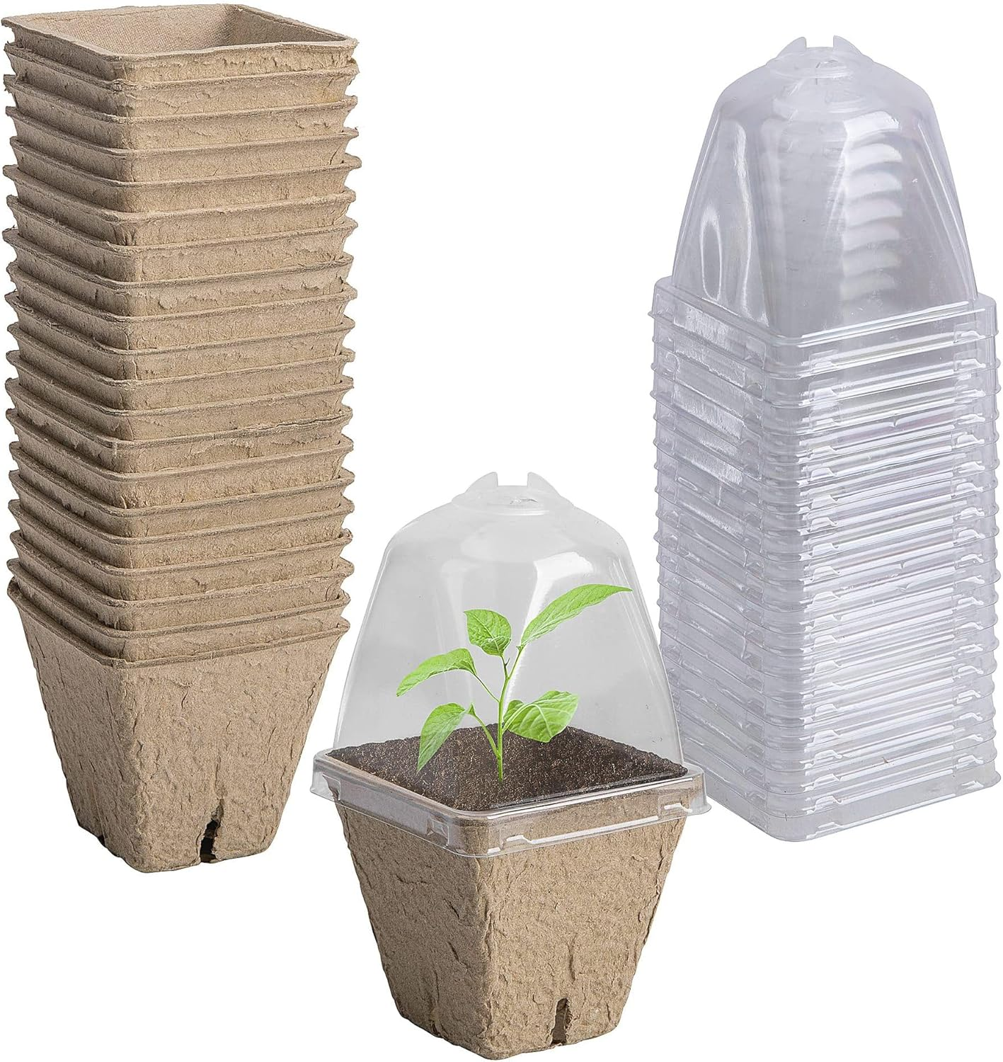 QYINXIU 20 Pcs Biodegradable Nursery Pots, Seeding Starter Pots for Planting, Peat Pots for Seedlings, Garden Vegetable Flower Germination image number 4