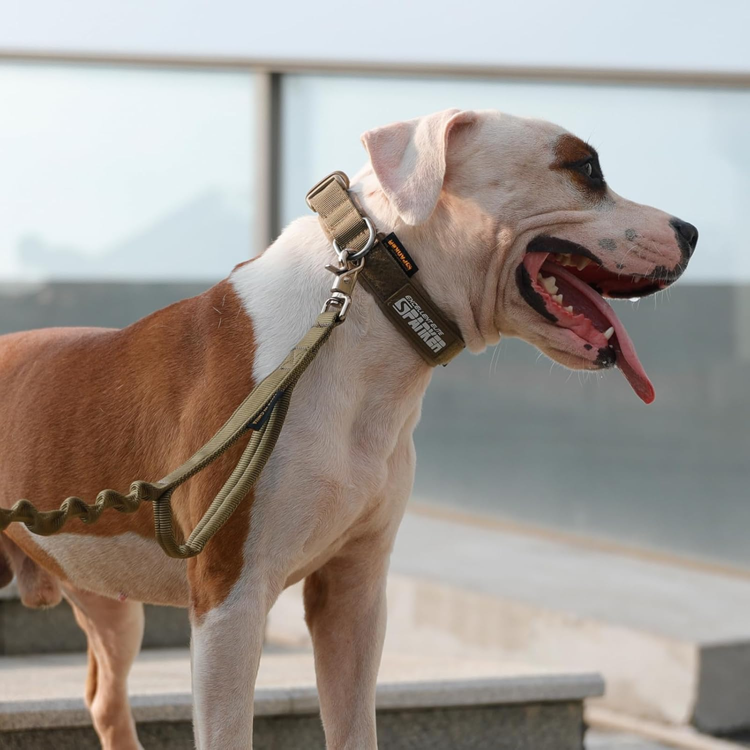 Excellent Elite Spanker Tactical Dog Collar Military Training Nylon Adjustable Dog Collar for Large Medium Small Dog(Coyote Brown-S) image number 6