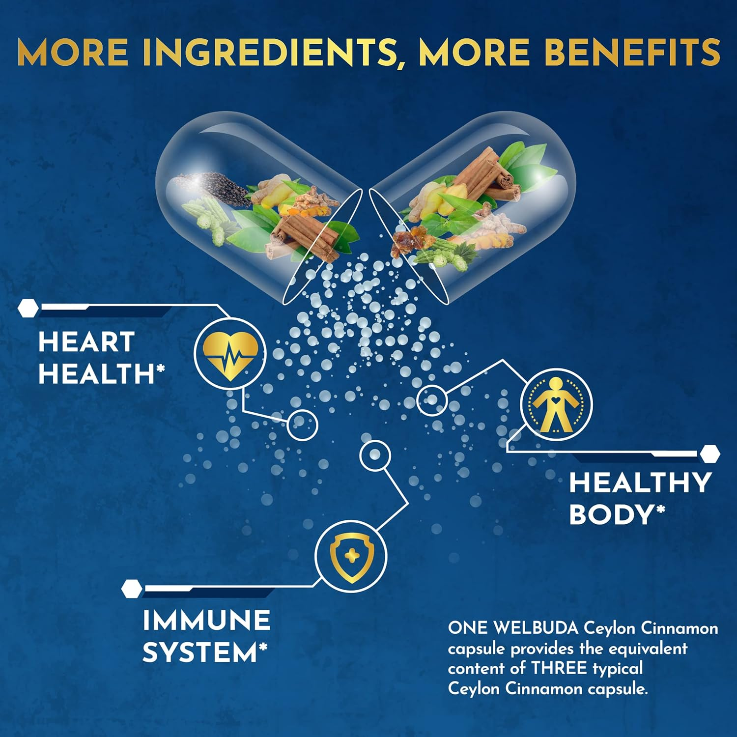 8In1 Ceylon Cinnamon Supplement Extract - 11600Mg Blended from Berberine, Turmeric, Ginger, Gymnema Sylvestre & More - 180 Capsules for 3-Month Supply - Heart Health, Brain, & Immune Support image number 6