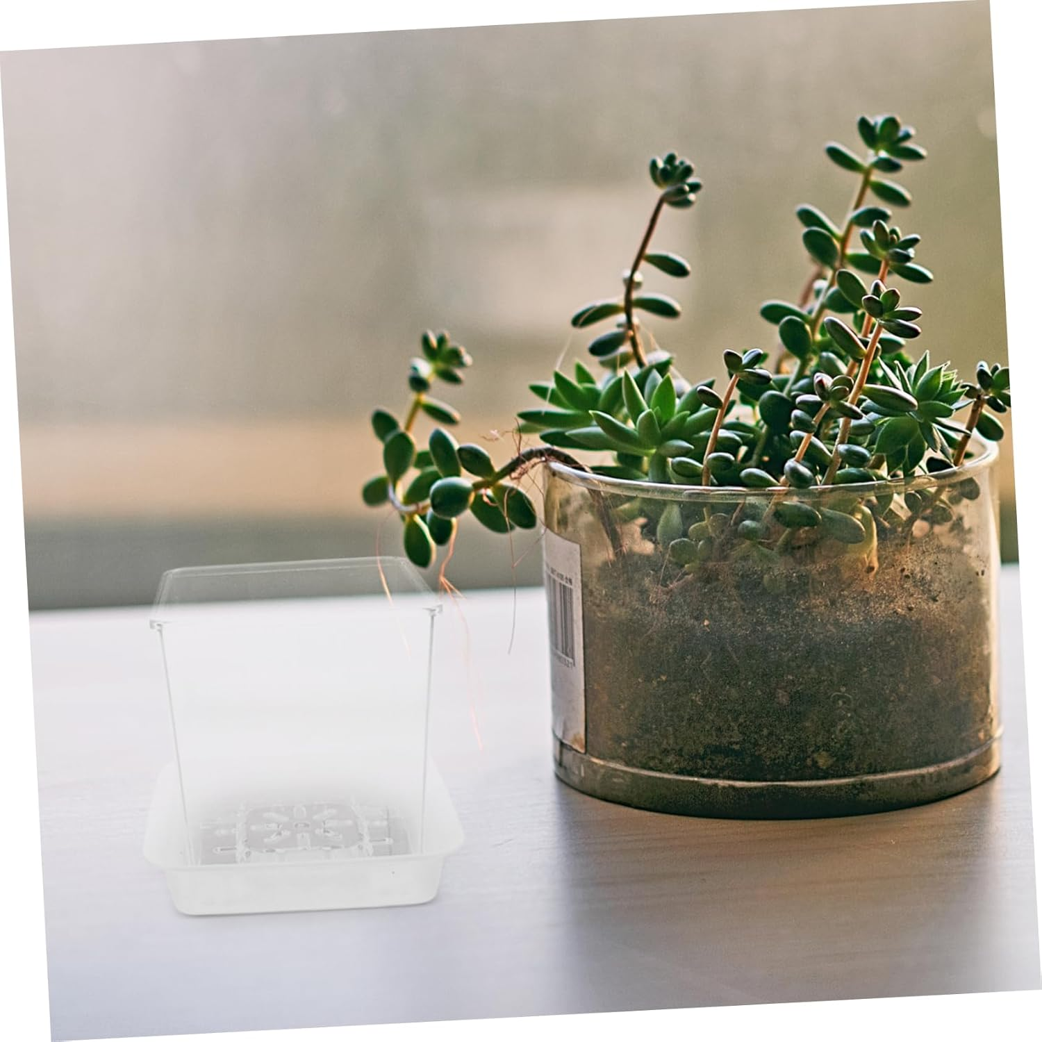 HONMEET Educational Boys and Girls Planters Small Flower Pot Drainage Hydroponic Design Plant Propagation Jars for Indoor Gardening Nursery Pot Saucer image number 4