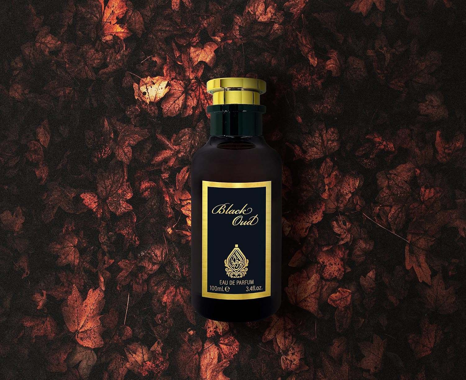 House of Perfumes Men'S Black Oud Eau De Parfum Spray, 100 Ml image number 1