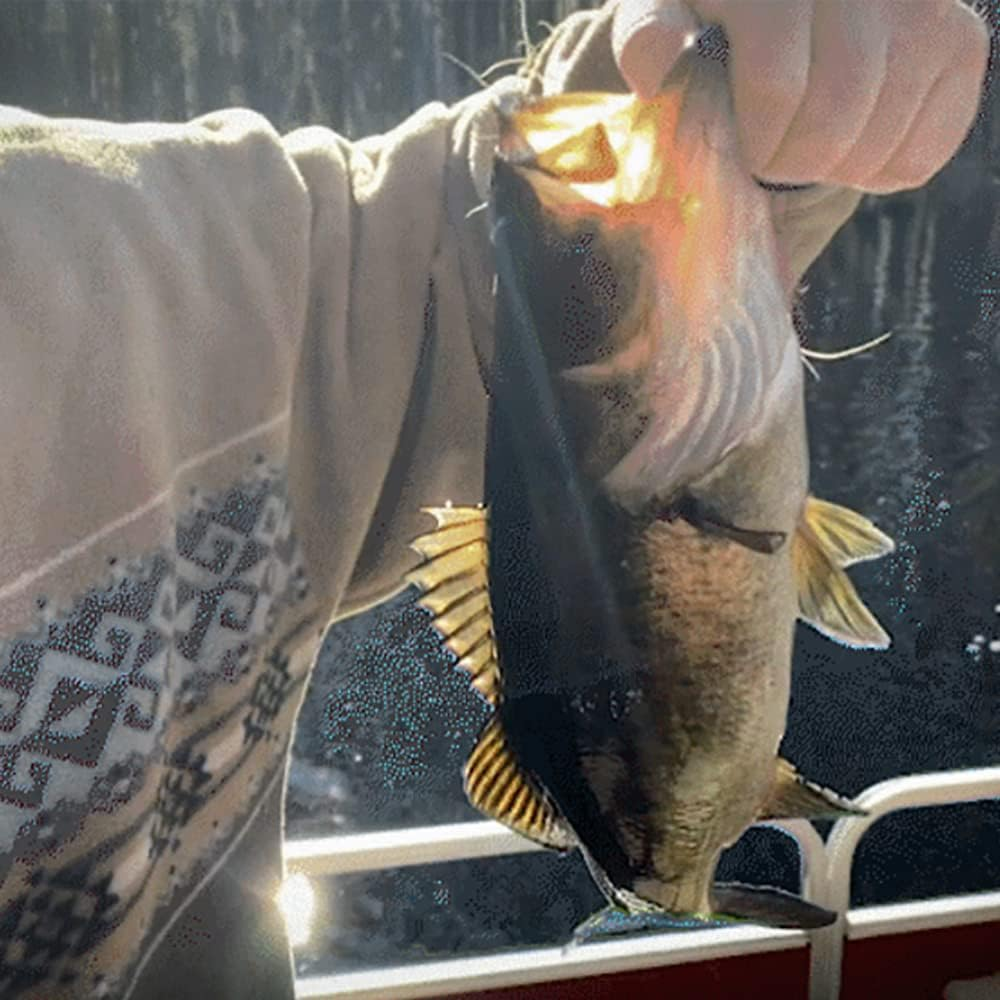 BATTLBOX Survival Fishing Kit Limb Lines Auto Fishing Device 2-Pack - Outdoor Survival Tools Camping Bushcraft Fishing - Lightweight, Compact, Easy to Use image number 1