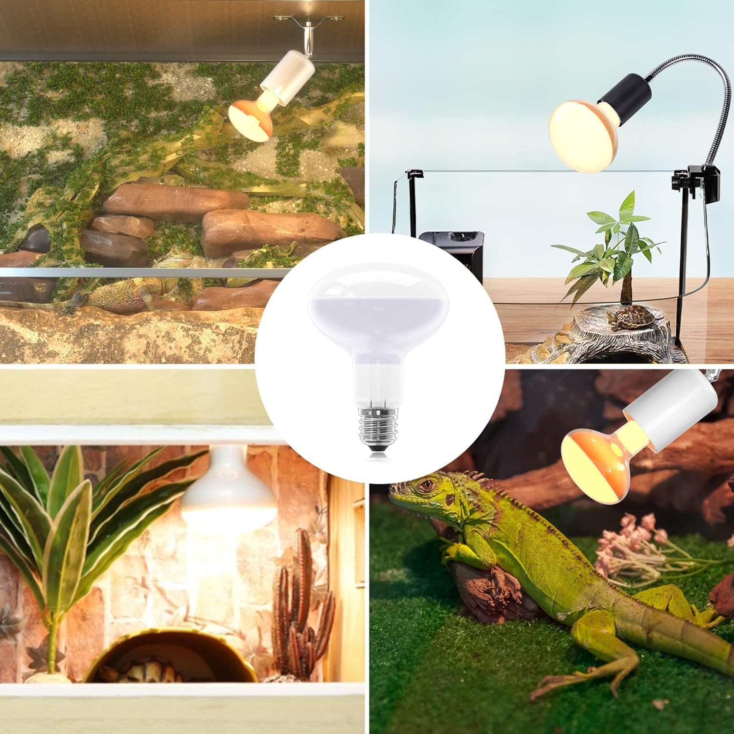 100W Reptiles Heat Bulb E27 Base Warm White Light Basking Bulb, Dimmable UVA Heat Lamp Bulbs for Reptiles, Chicks, Tortoise, Bearded Dragon, Dogs, Lizard 2Pack image number 5