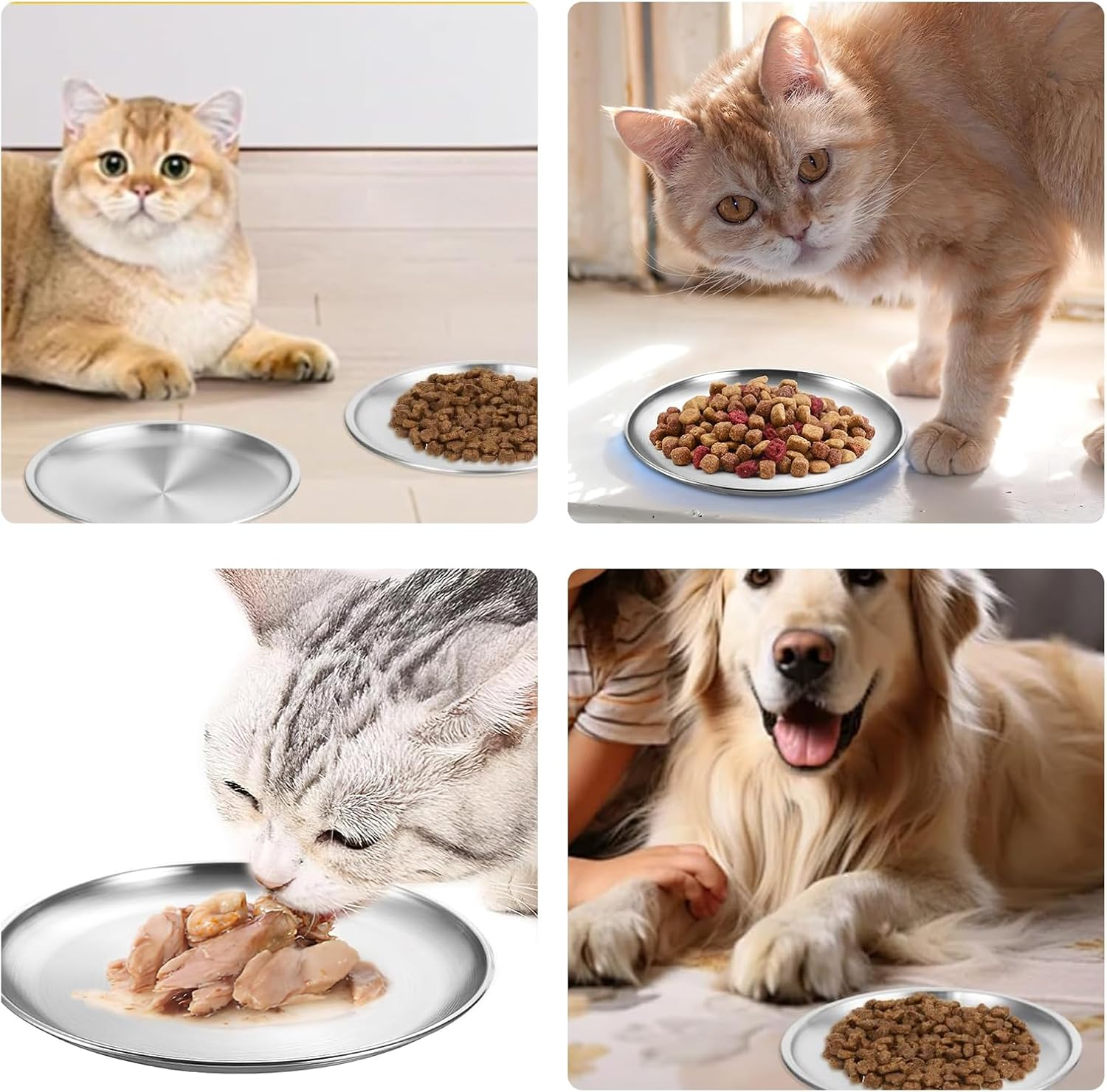 AMSGANK Pack of 3 Cat Feeding Bowls, Cat Bowls against Whisker Fatigue with Non-Slip Silicone Base, Stainless Steel Cat Plate for Cats, Kittens, Small Dogs, 17 Cm Cat Bowl, Flat