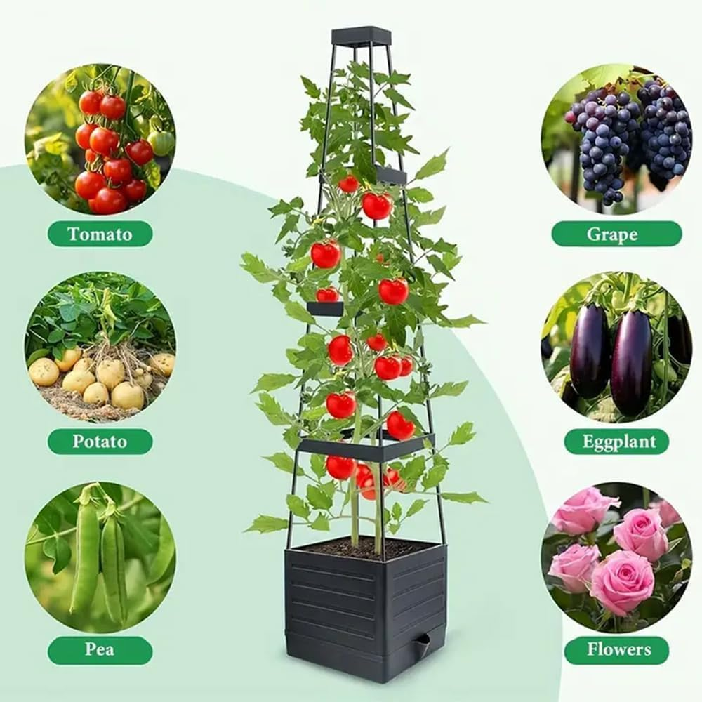 Raised Garden Bed, Planter Boxes with Trellis 55.1'' Tomato Planters for Climbing Vine Vegetables Flowers Plants Self Watering Tomatoes Cage for Outdoor Patio Greenhouse