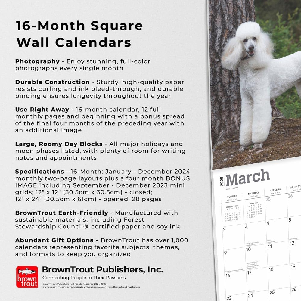 Poodles | 2025 12 X 24 Inch Monthly Square Wall Calendar | Plastic-Free | Browntrout | Animals Dog Breeds image number 4