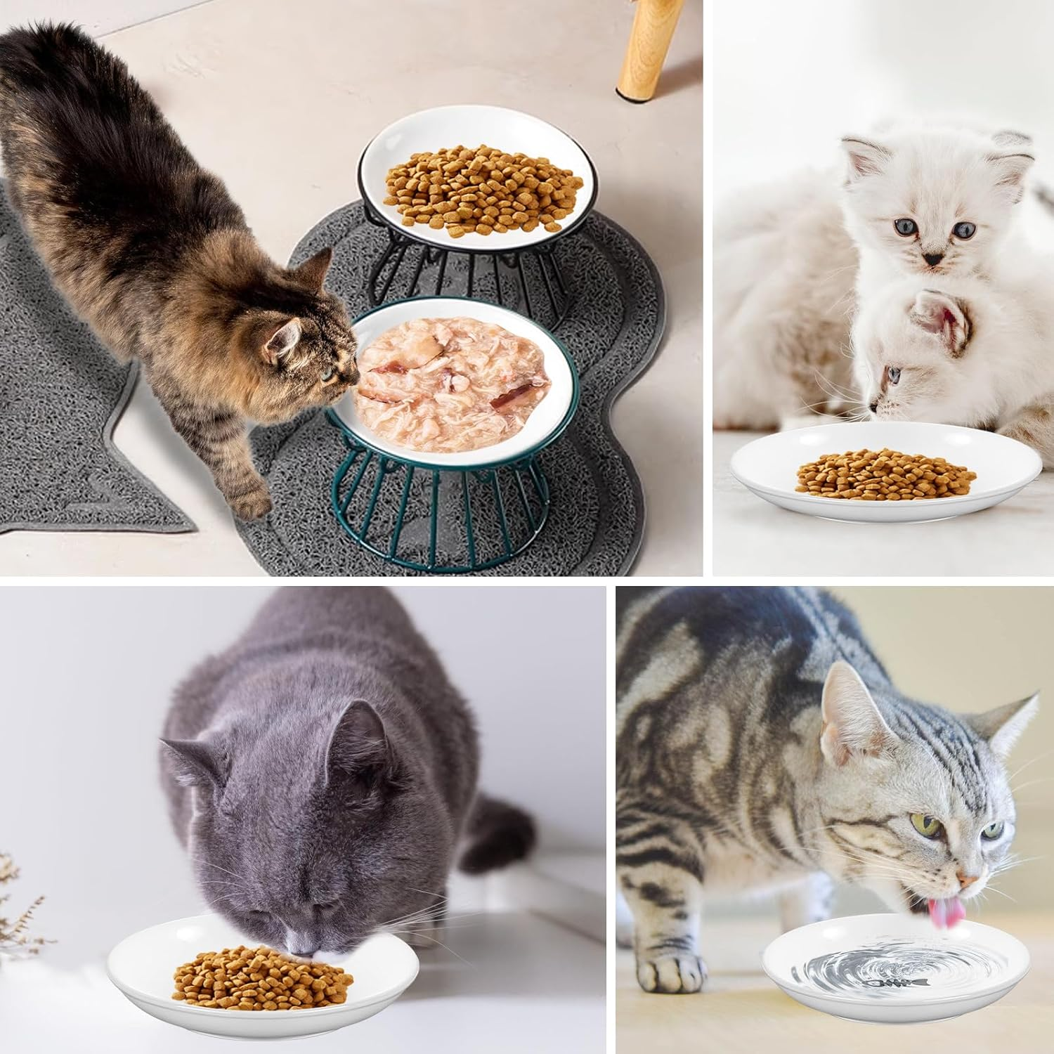 Cat Bowl Ceramic Cat Bowl Feeding Bowl: Pack of 6 Cat Bowls Ceramic Feeding Bowl Cat Feeding Bowl Cat Bowl Cat Bowl Flat Ceramic Cat Food Bowl Water Bowl image number 6