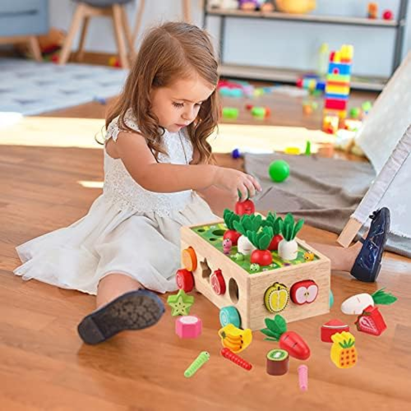 Toddlers Montessori Wooden Educational Toys for Baby Boys Girls Age 2 3 4 Year Old, Shape Sorting Toys Gifts for Kids 2-4, Wood Preschool Learning Fine Motor Skills Game image number 4