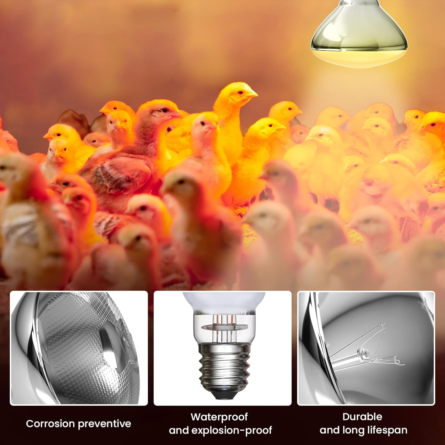 250W Heat Lamp - E27 Bulb for Poultry, Food, Catering, Brooding & Chicks image number 1