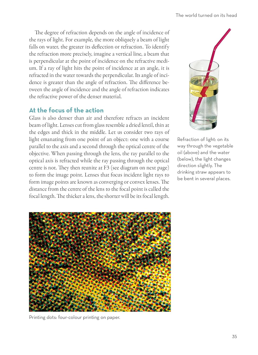 Worlds within Worlds: an Introduction to Microscopes image number 3