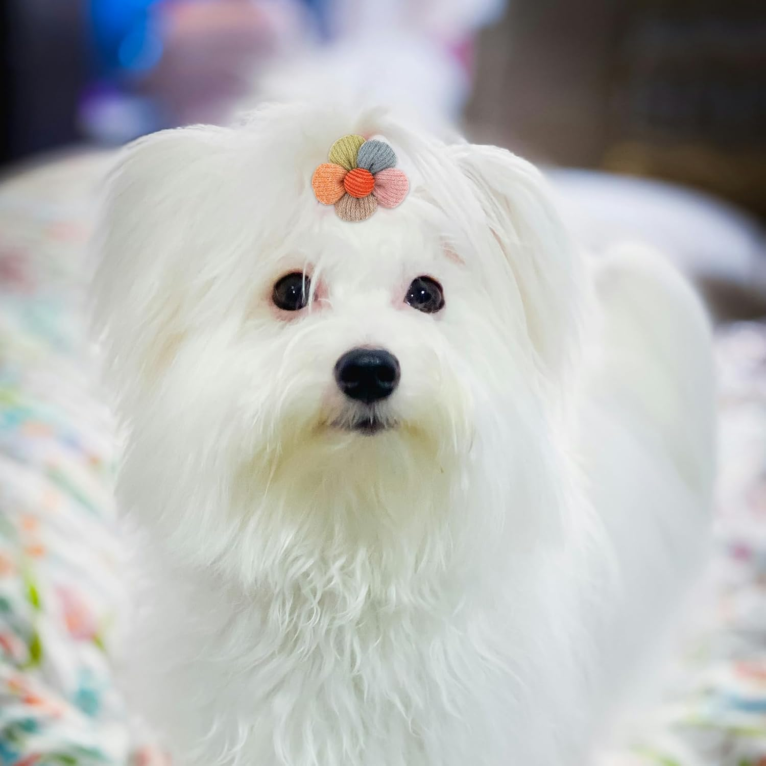 18Pcs Dog Hair Bows with Rubber Bands, Pink Small Dog Hair Bows Cute Puppy Bows Dog Hair Ties Flower Ball Bunny Bowknot Dog Hair Accessories Pet Hair Bows image number 2