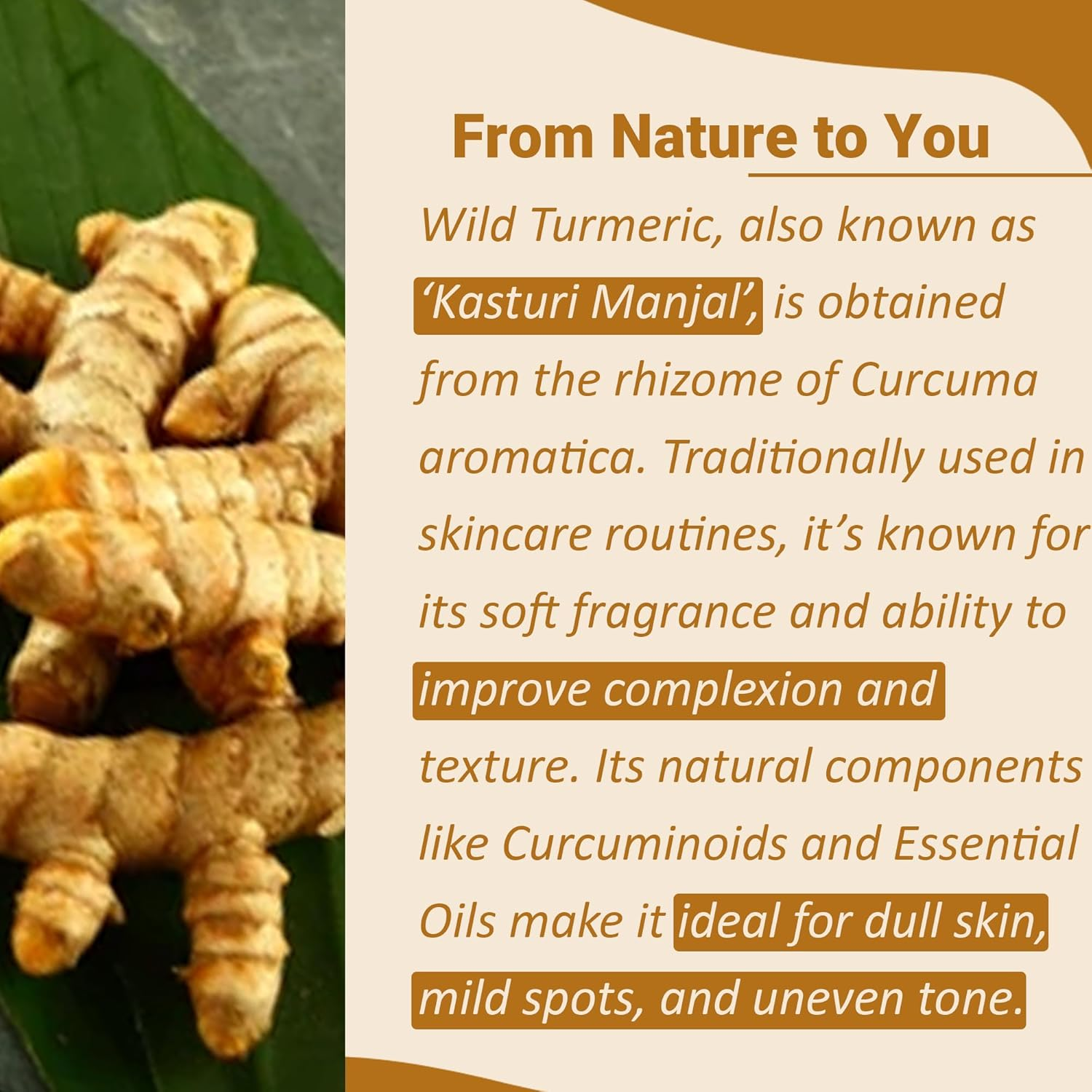 Wild Turmeric Powder by Mi Nature | Kasturi Manjal (Jungli Haldi/Amba Haldi) Powder | Dark Spot, Pigmentation, Tan Removal| Naturally Refreshed Even Skin | 100G(3.5Oz) image number 1