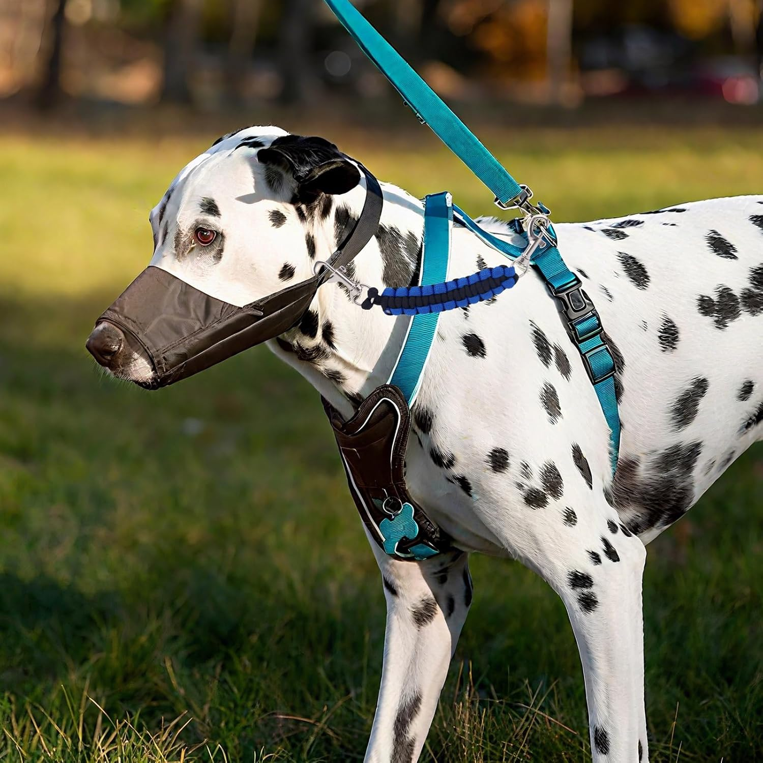 2Pcs Dog Prong Collar Safety Clip, 17.5Cm/6.89In 360&deg; Rotating Dog Collar Strap Pet Leash Extender for Harness Connector Double Clip Pet Essentials for Walking Running Hiking