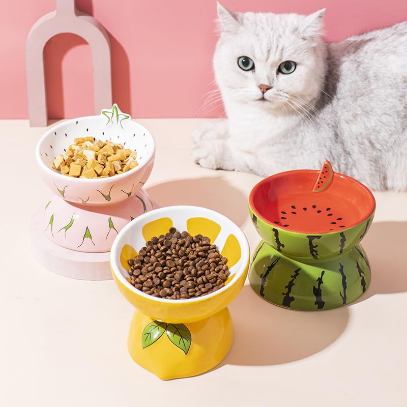 Raised Cat Food Bowls Ceramic Elevated Cat Bowl 5 Inches Wide Cat Bowls for Food and Water, Tilted Cat Dish for Flat Faced Cats and Kitten, Cat Feeding Bowl Dishwasher Safe (Watermelon) image number 5
