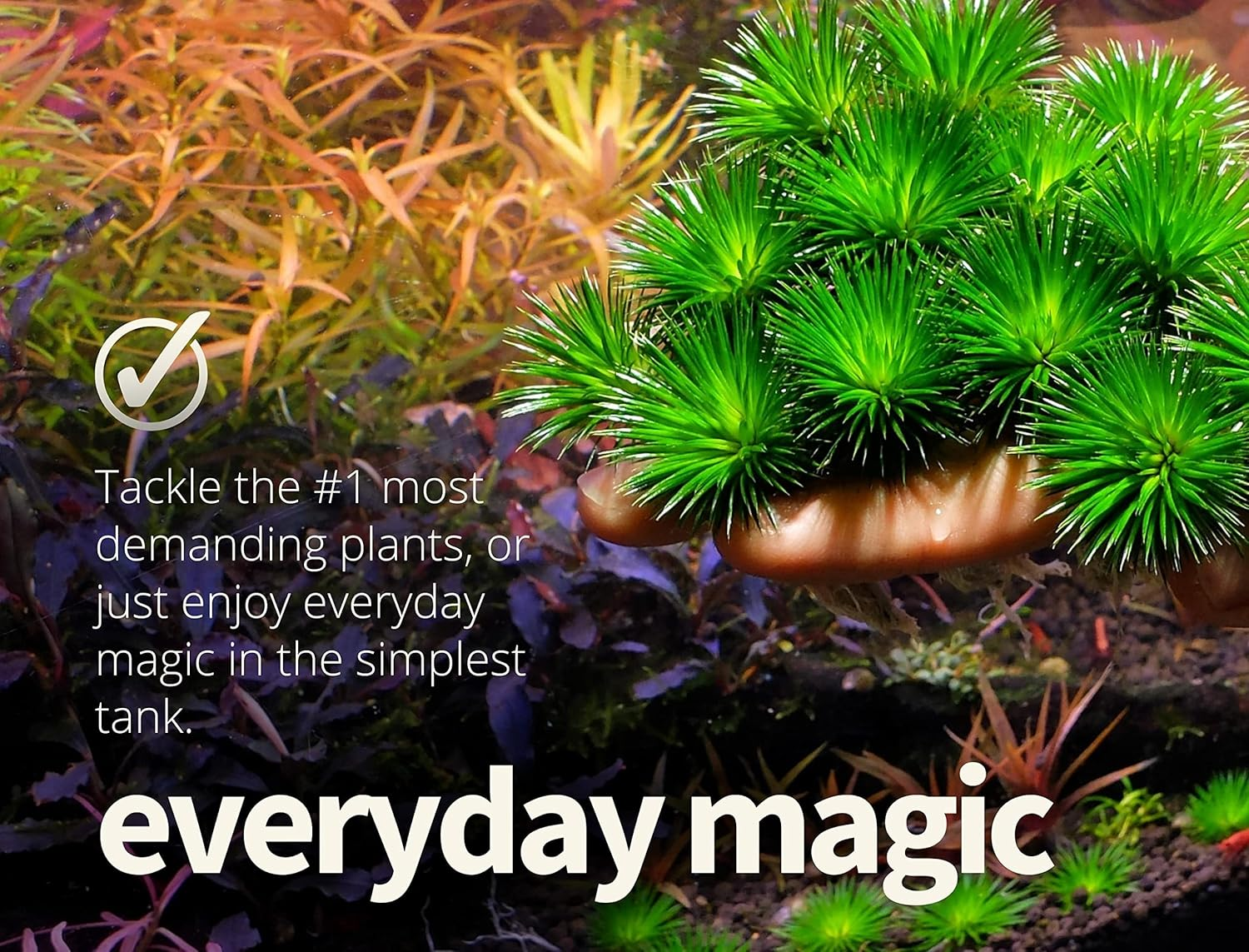 THE 2HR AQUARIST All-In-One APT 1 for Planted Aquariums (600Ml)