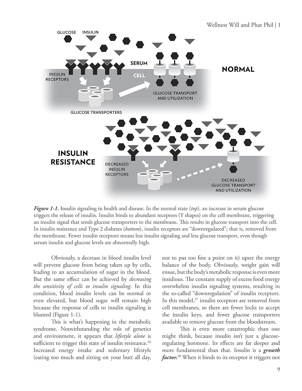 The Barbell : Strength Training for Life after 40 image number 3
